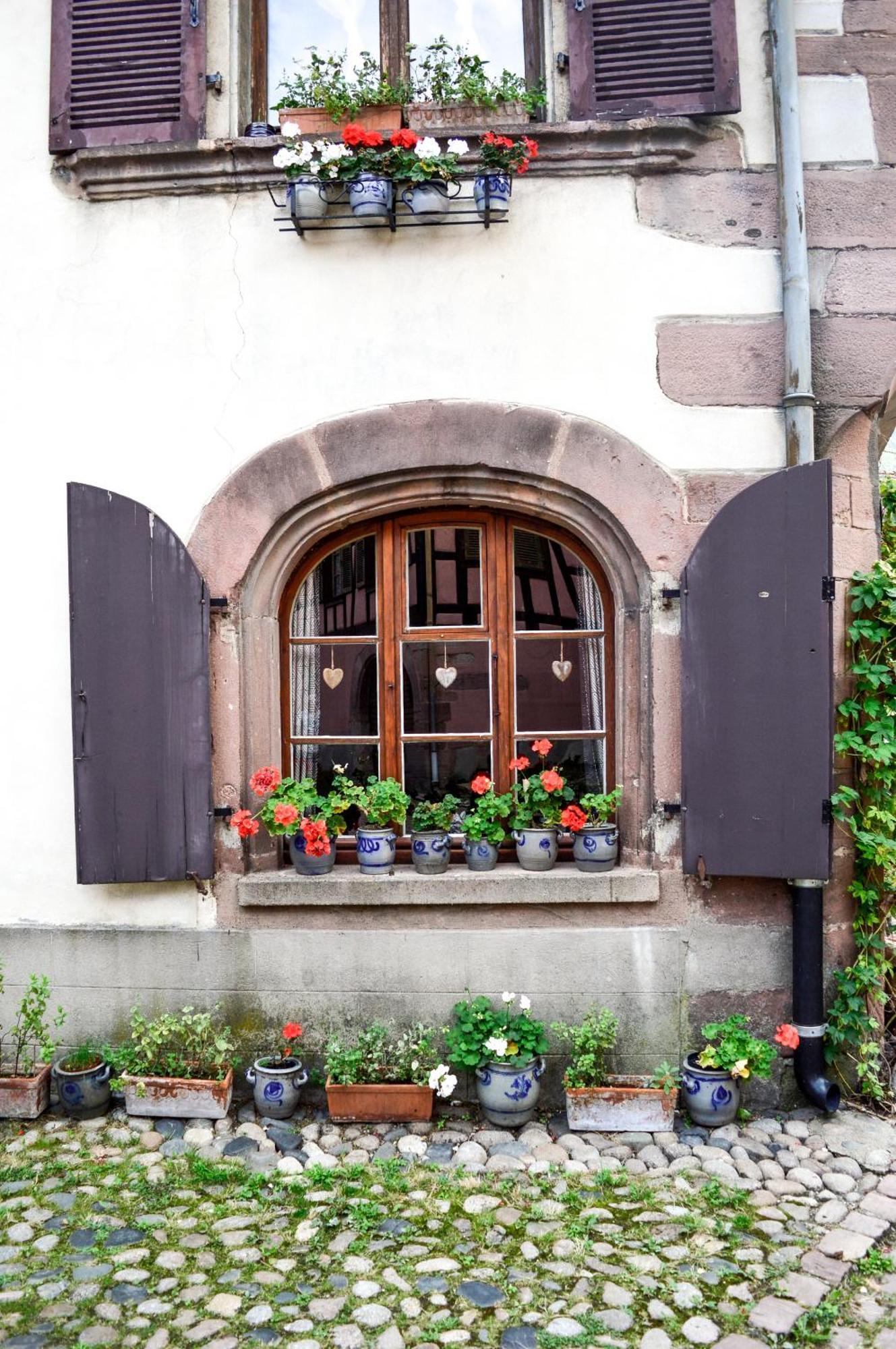 Chaud'Vin Daire Kaysersberg-Vignoble Dış mekan fotoğraf